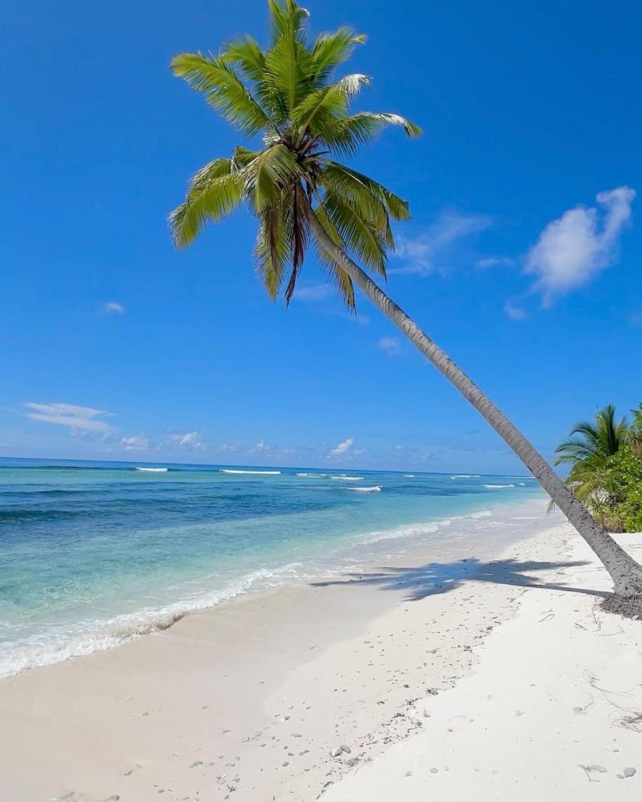 Charming Holiday Lodge- Addu Atoll Meedhoo, Maldives Екстериор снимка